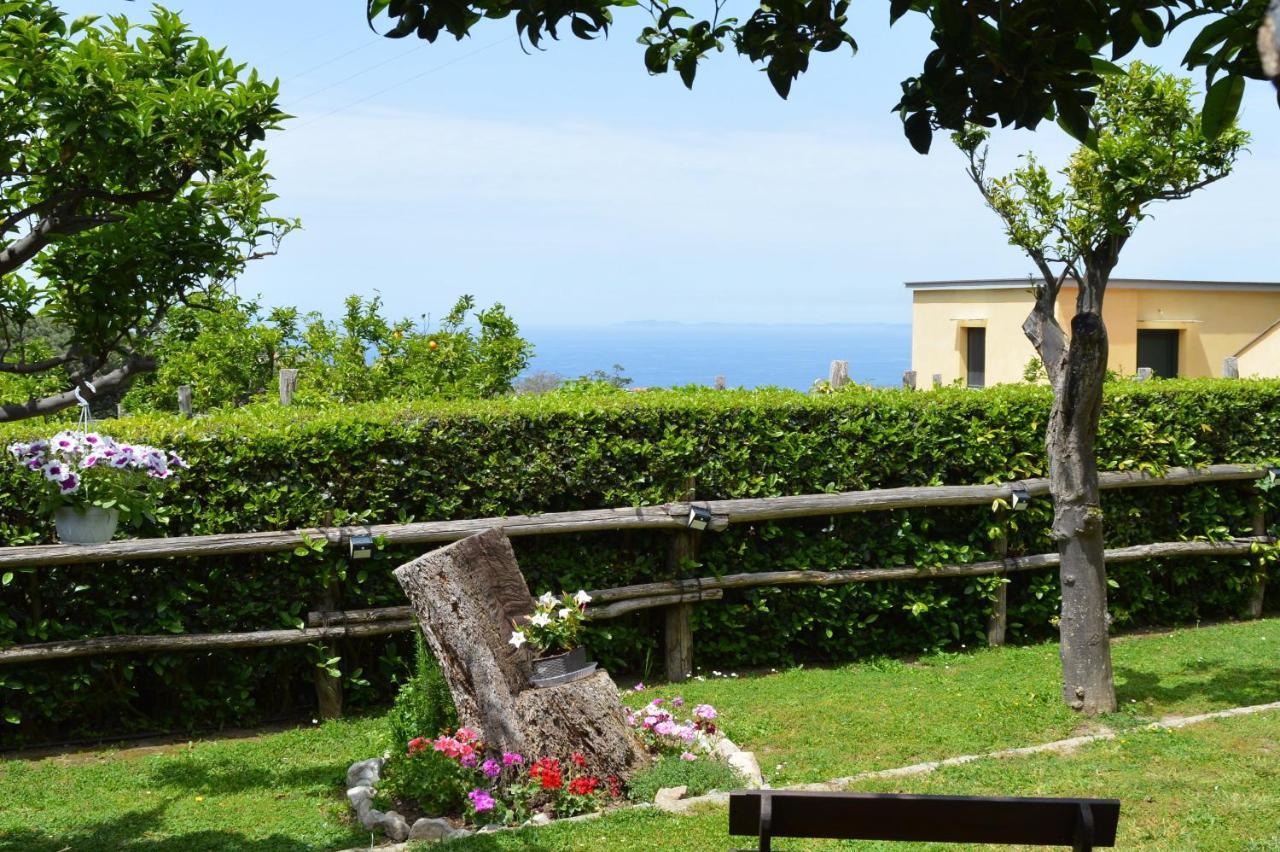 メタ Sara'S Sweet Corner Bed & Breakfast エクステリア 写真